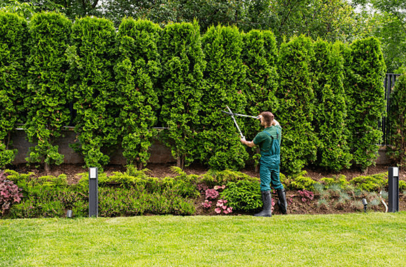 Reliable Commercial Landscape Services Maintaining Green and Clean Properties